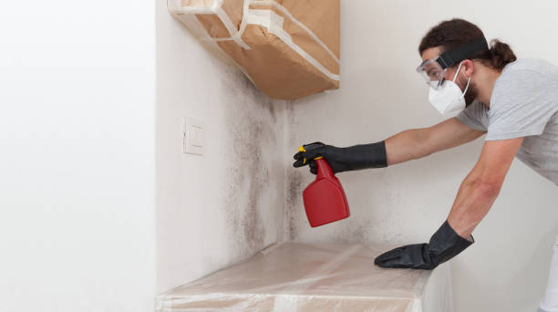Professional Attic Mold Removal technician working in Everett, MA