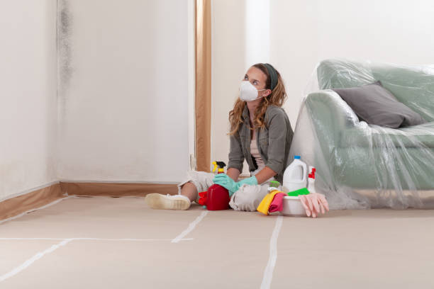 Reliable Attic Mold Removal contractor in Everett, MA by WQB Mold Removal